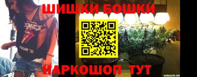 прущие крисы Будённовск