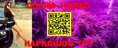 прущие крисы Будённовск