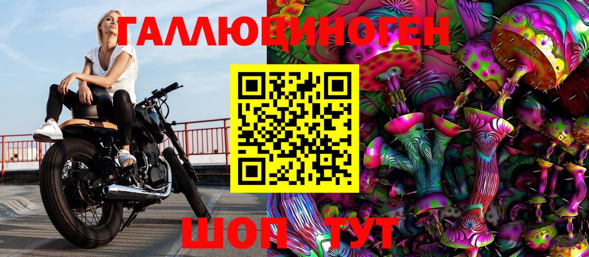 Псилоцибиновые грибы Psilocybe Семёнов