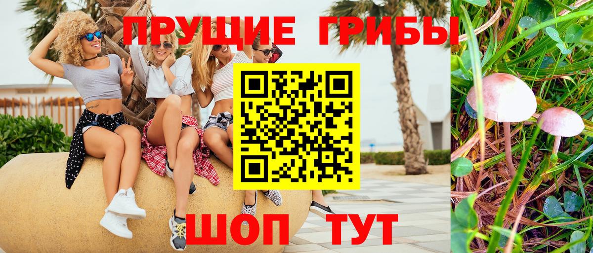 Семёнов  Галлюциногенные грибы Magic Shrooms  дарнет шоп  Вход с VPN 