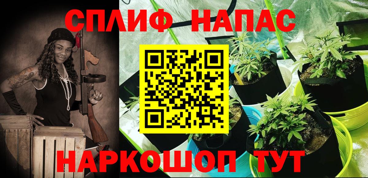 Каннабис Amnesia  Канабис ГИДРОПОН  Бошки марихуана план  Семёнов  Вход с VPN 